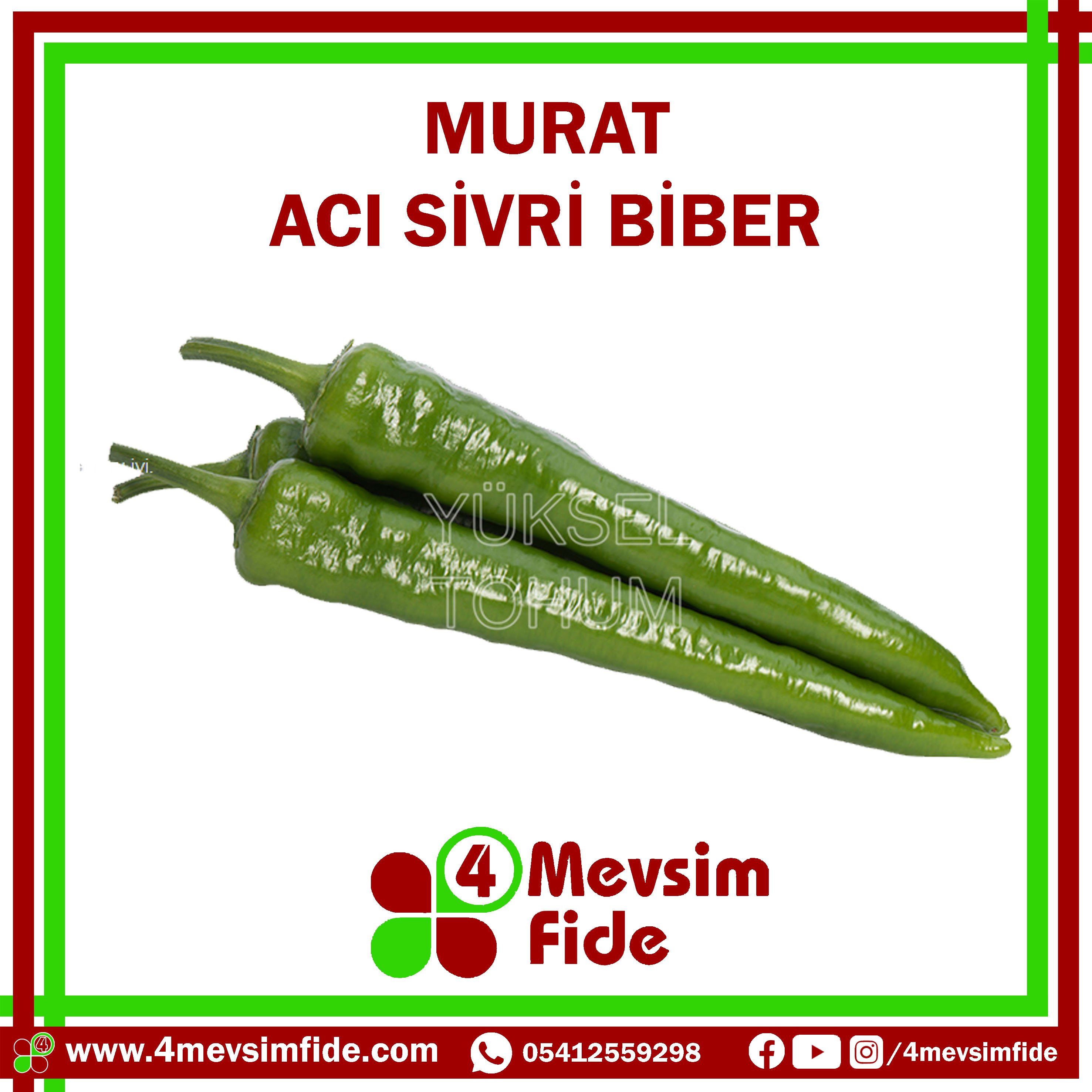 Murat F1 Sivri Acı Biber